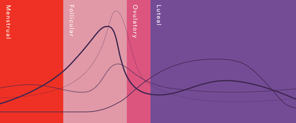 Optimizing Hormonal Balance: How Infradian Rhythm Impacts Fitness