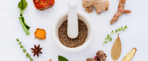 mortar and pestle surrounded by herbs