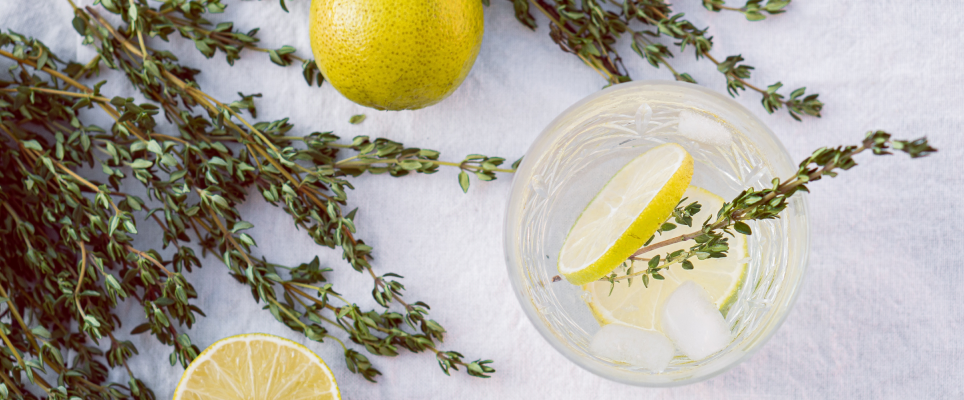 water glass with lemon and herb