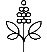 Chaste tree berry extract icon