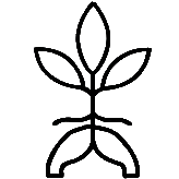 Chinese Licorice (licorice root extract) icon