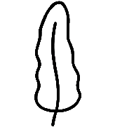 Giant kelp leaf icon