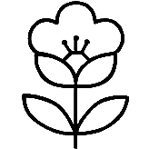 White Peony Root icon